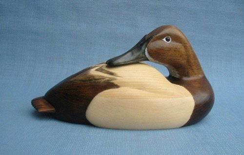 Wood Carving - Handcarved Canvasback Hen Preening Head Decoy